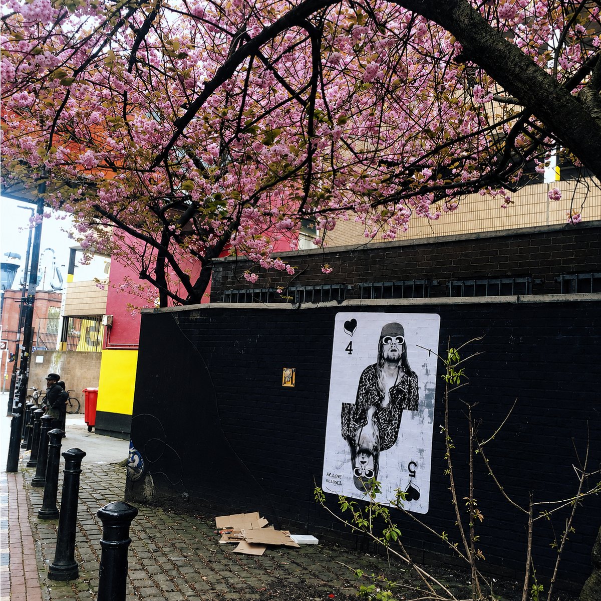 Love is Lost — Kurt Cobain poster under cherry blossom