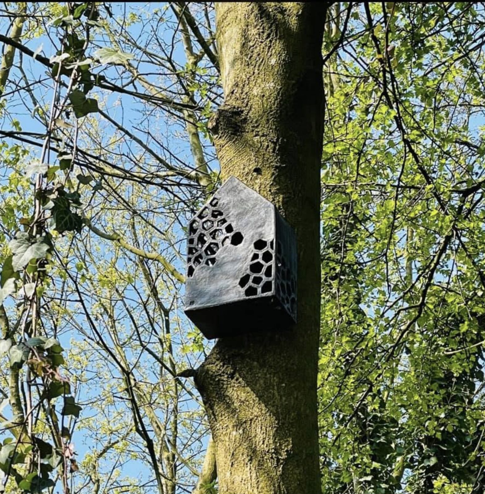 Wingers bird box — hexagon-patterned design mounted on a tree
