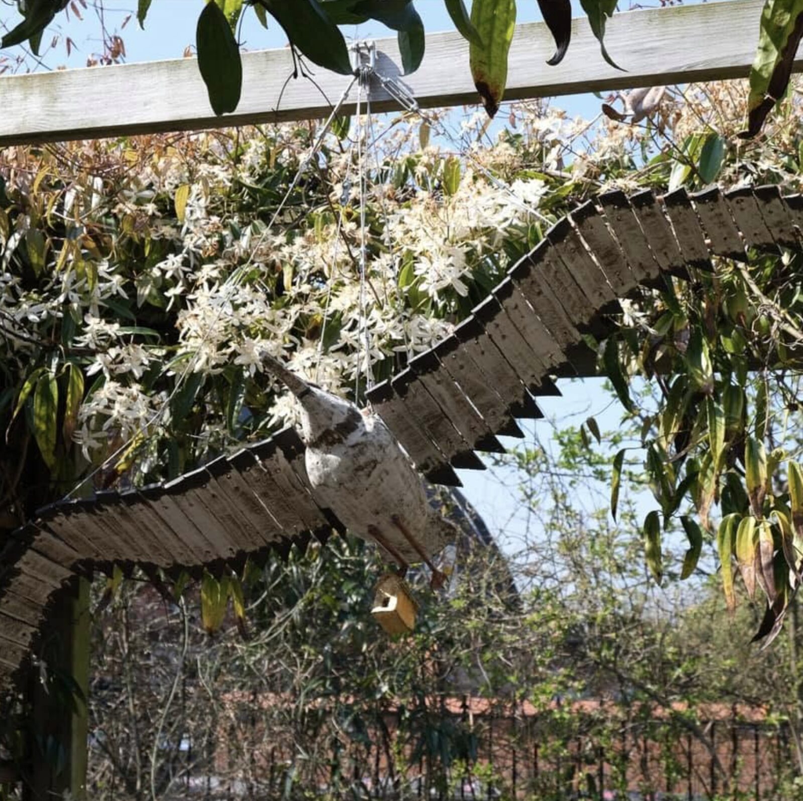 Wingers bird box — sculptural wing design hanging under a pergola
